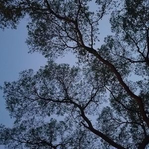 Meet your Posher, Pasquale